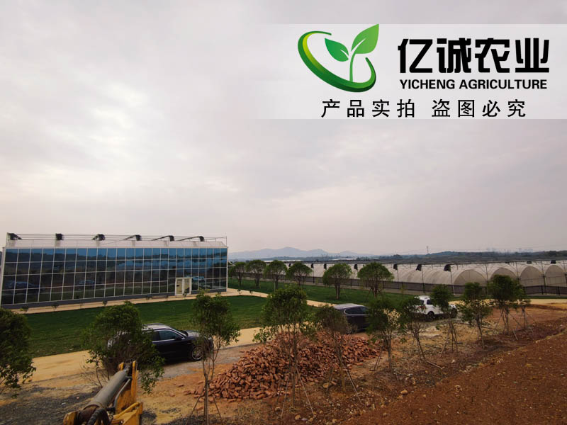 南昌溫室大棚現(xiàn)代園區(qū)運營